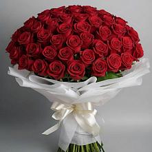 Букет 101 Красная роза Блэк Мэджик в поселок Сургут