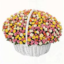 Премиум букет из: Розы в поселок Сургут