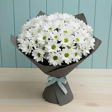 Букет цветов из:  Хризантемы #REPLACE_PRED# поселок Сургут