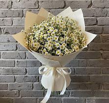 Букет цветов из:  Ромашки #REPLACE_PRED# поселок Сургут