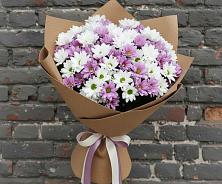 Букет цветов из:  Хризантемы в поселок Сургут