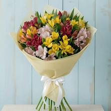 Букет цветов из:  Альстромерии #REPLACE_PRED# поселок Сургут