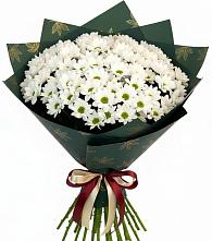 Букет цветов из:  Хризантемы в поселок Сургут