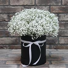 Цветочная композиция из Гипсофила в шляпной коробке в поселок Сургут