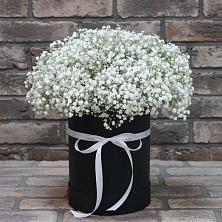 Цветочная композиция из Гипсофила в шляпной коробке в поселок Сургут